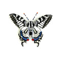 Trovelore Old World Swallowtail Butterfly