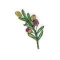 Trovelore Olive Branch Brooch