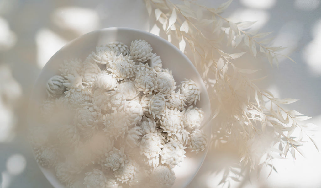 Purely Porcelain Diffuser Flowers | Glazed King Protea | Small