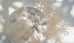 Purely Porcelain Diffuser Flowers | Glazed King Protea | Small