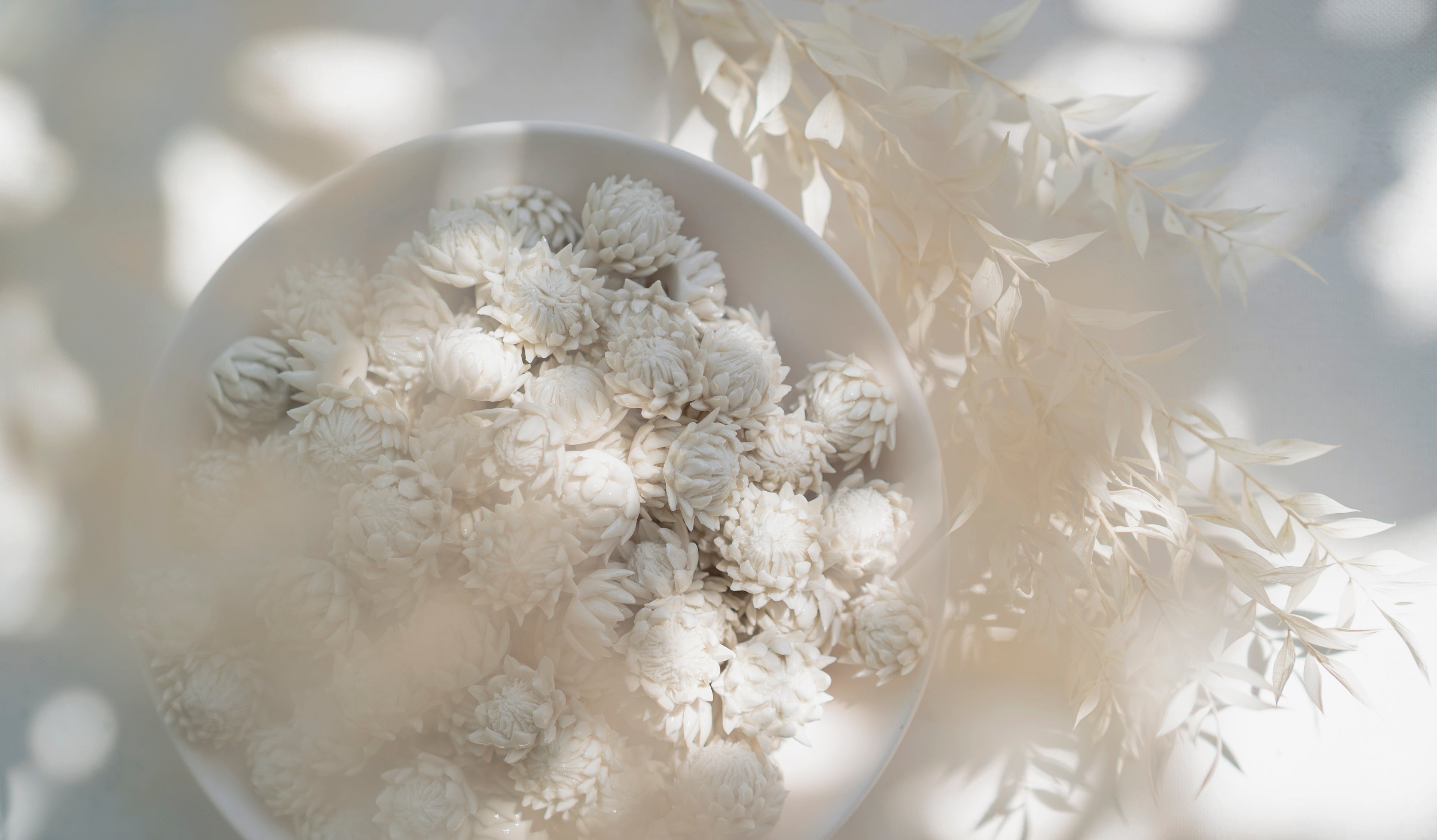 Purely Porcelain Diffuser Flowers | Glazed King Protea | Small
