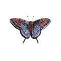 Trovelore Red Spotted Purple Butterfly
