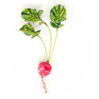 Trovelore Red Radish Brooch