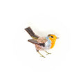Trovelore Robin Red Breast Brooch