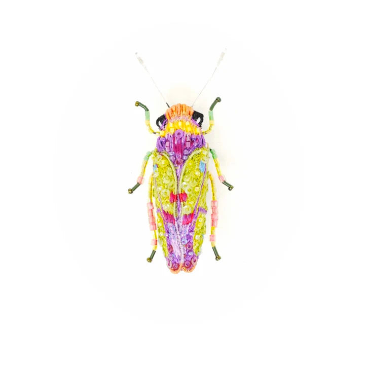 Trovelore Sharpshooter Beetle Brooch