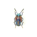 Trovelore Snowden Beetle Brooch