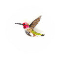 Trovelore Sparkling Hummingbird Brooch