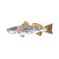 Trovelore Spotted Trout Brooch