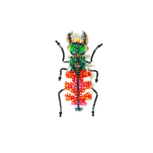 Trovelore Tiger Beetle Brooch