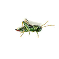 Trovelore Two Striped Grasshopper Brooch