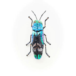 Trovelore Ulkei Beetle Brooch