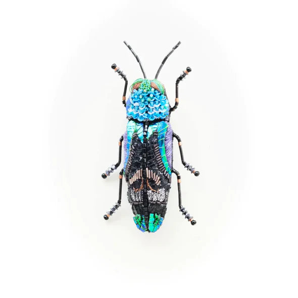 Trovelore Ulkei Beetle Brooch