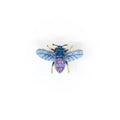 Trovelore Violet Carpenter Bee Brooch