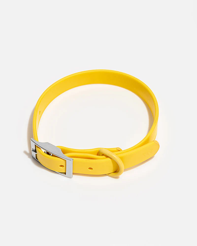 Wild One Collar - Butter