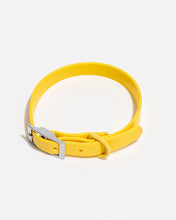 Load image into Gallery viewer, Wild One Collar - Butter
