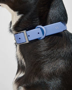Wild One Collar - Moonstone