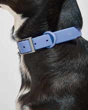 Load image into Gallery viewer, Wild One Collar - Moonstone

