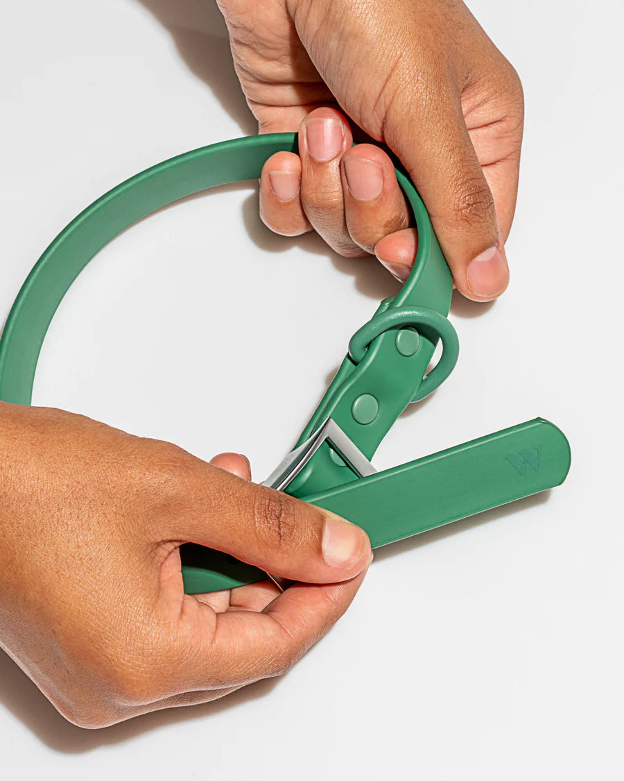 Wild One Collar - Spruce