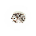 Trovelore White Breasted Hedgehog Brooch