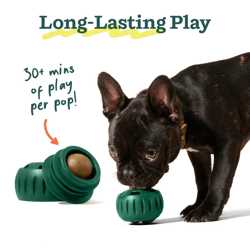 Woof - Pupsicle Refills | Extra-Large