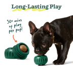 Woof - Pupsicle Refills | Extra-Large