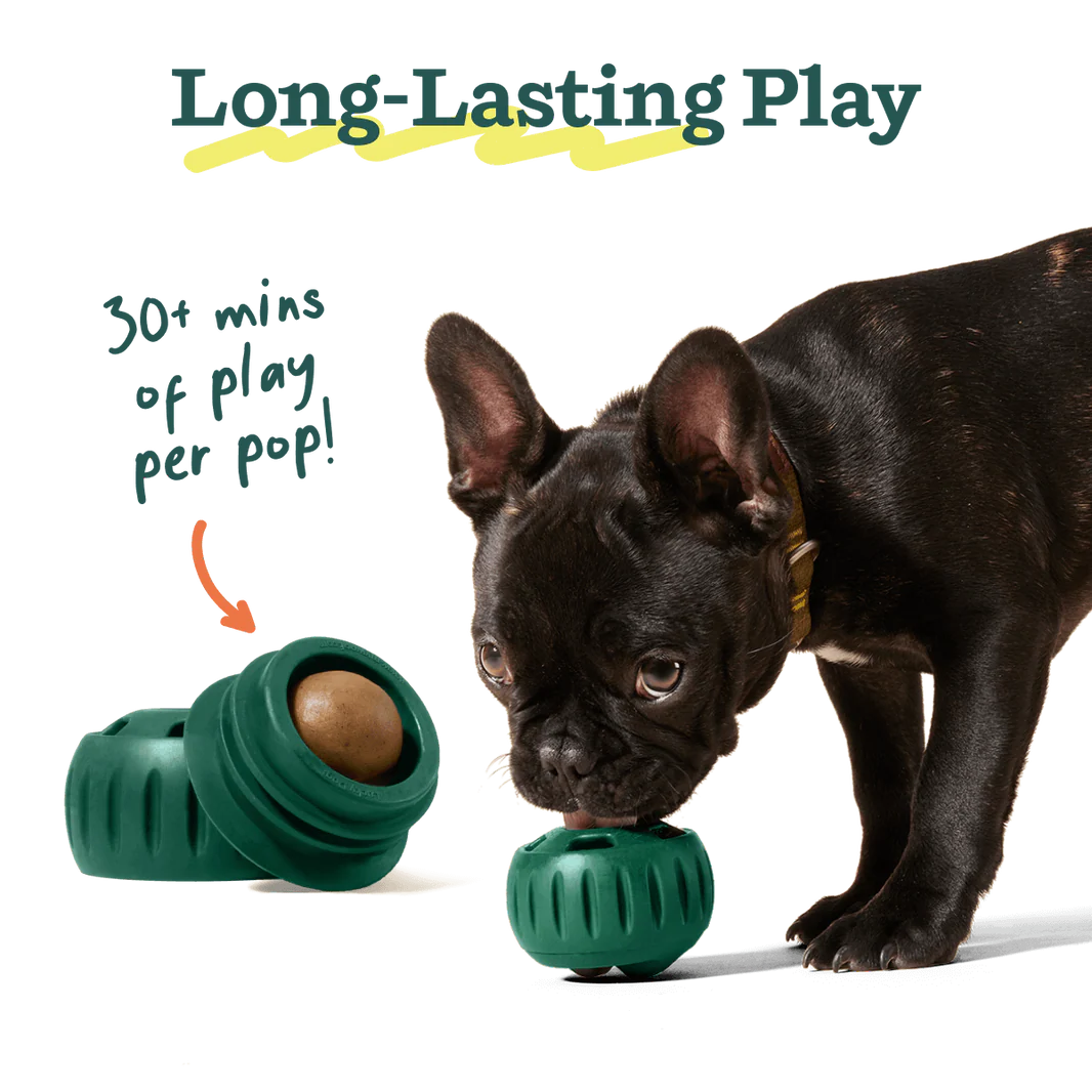 Woof - Pupsicle Refills | Extra-Large