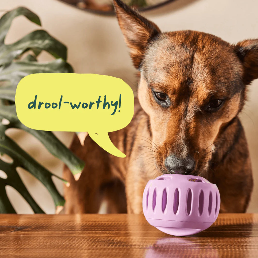 Woof - Pupsicle Refills | Extra-Large