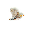 Trovelore Zebra Finch Brooch