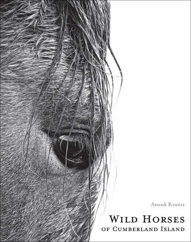 Simon & Schuster - Wild Horses of Cumberland Island by Anouk Masson Krantz: Hardcover; 240 pages / English