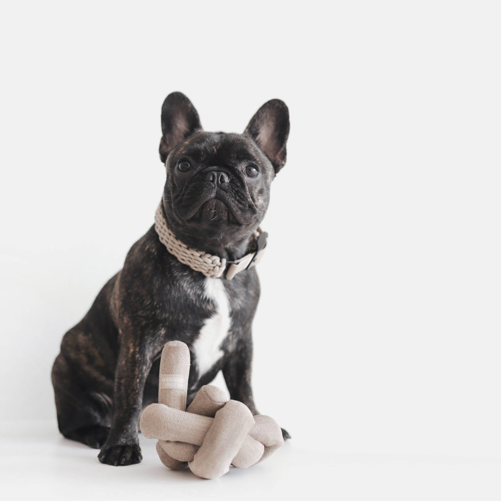 Lambwolf Collective - NOUNOU XX | with Crinkle Clusters // Enrichment Dog Toy - Tan