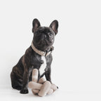 Lambwolf Collective - NOUNOU XX | with Crinkle Clusters // Enrichment Dog Toy - Tan