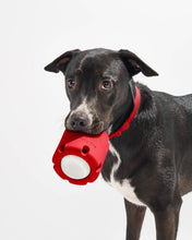 Load image into Gallery viewer, Wild One Tumble Interactive Dog Toy: Strawberry
