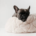 Lambwolf Collective - TAART // Dog Bed - Camel