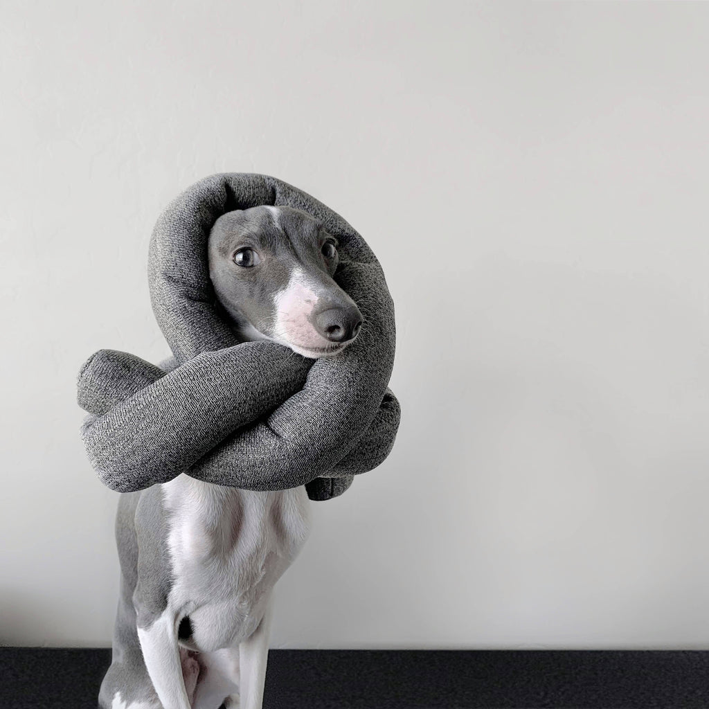 Lambwolf Collective - NOU | with Crinkle Clusters // Enrichment Dog Toy -  Charcoal
