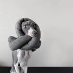 Lambwolf Collective - NOU | with Crinkle Clusters // Enrichment Dog Toy -  Charcoal