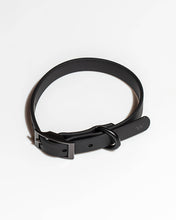 Load image into Gallery viewer, Wild One - Adjustable Waterproof Fashion Dog Collar: Cocoa / SMALL
