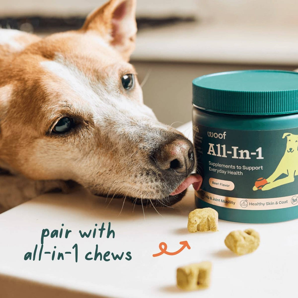 Woof - All-in-1 Wellness Pops: Large