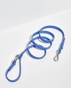 Wild One - Adjustable Waterproof Dog Leash: SMALL / Orchid