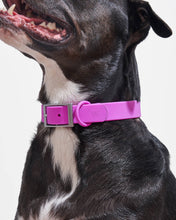 Load image into Gallery viewer, Wild One - Adjustable Waterproof Fashion Dog Collar: Gray / X-LARGE
