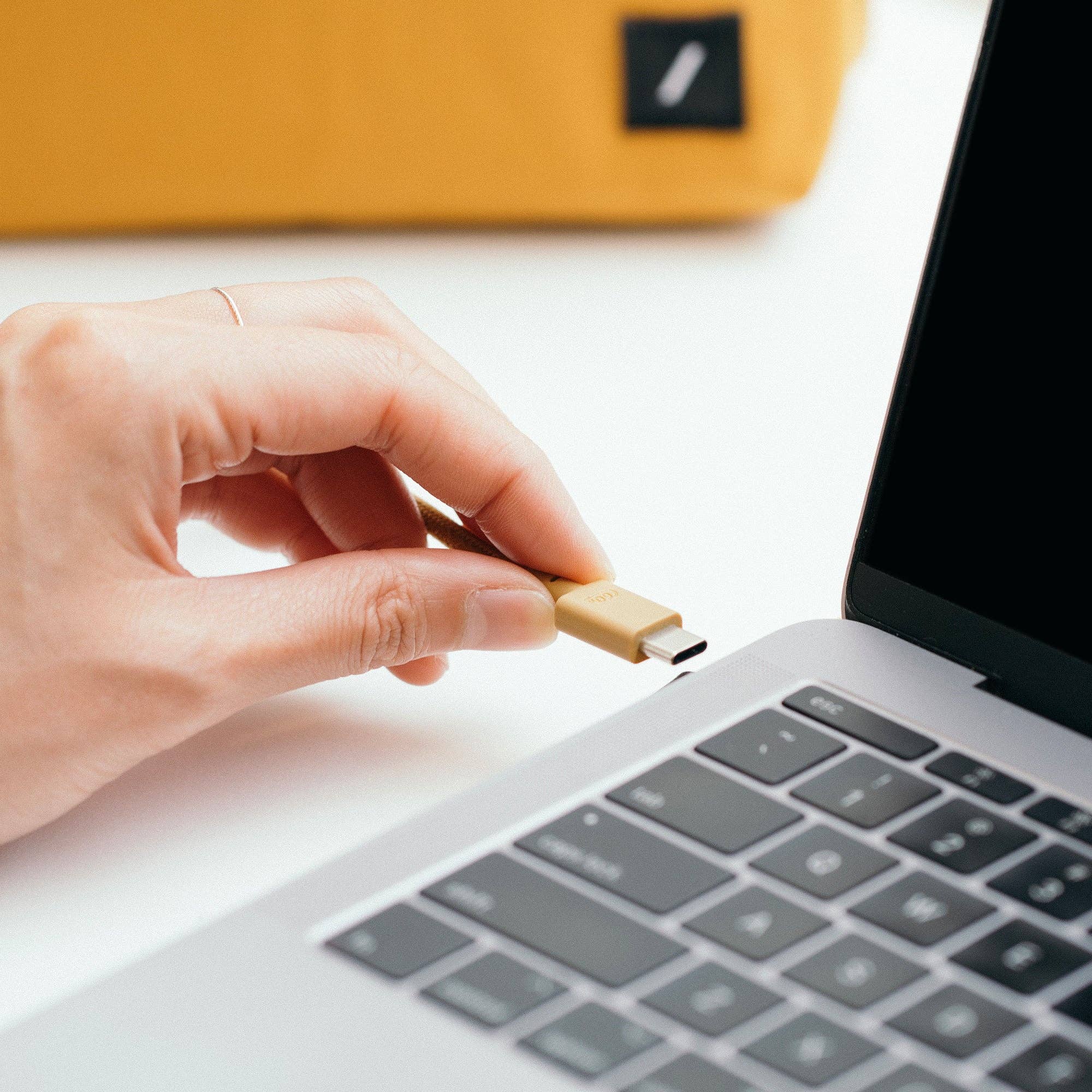 Native Union Paris - Belt Cable (USB-C to USB-C): Slate Green