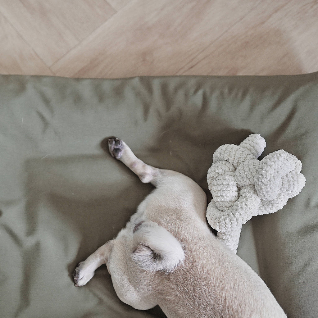 Lambwolf Collective - NOU | with Crinkle Clusters // Enrichment Dog Toy - Taupe