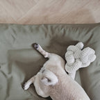 Lambwolf Collective - NOU | with Crinkle Clusters // Enrichment Dog Toy - Cream
