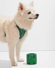 Load image into Gallery viewer, Wild One Tumble Interactive Dog Toy: Strawberry
