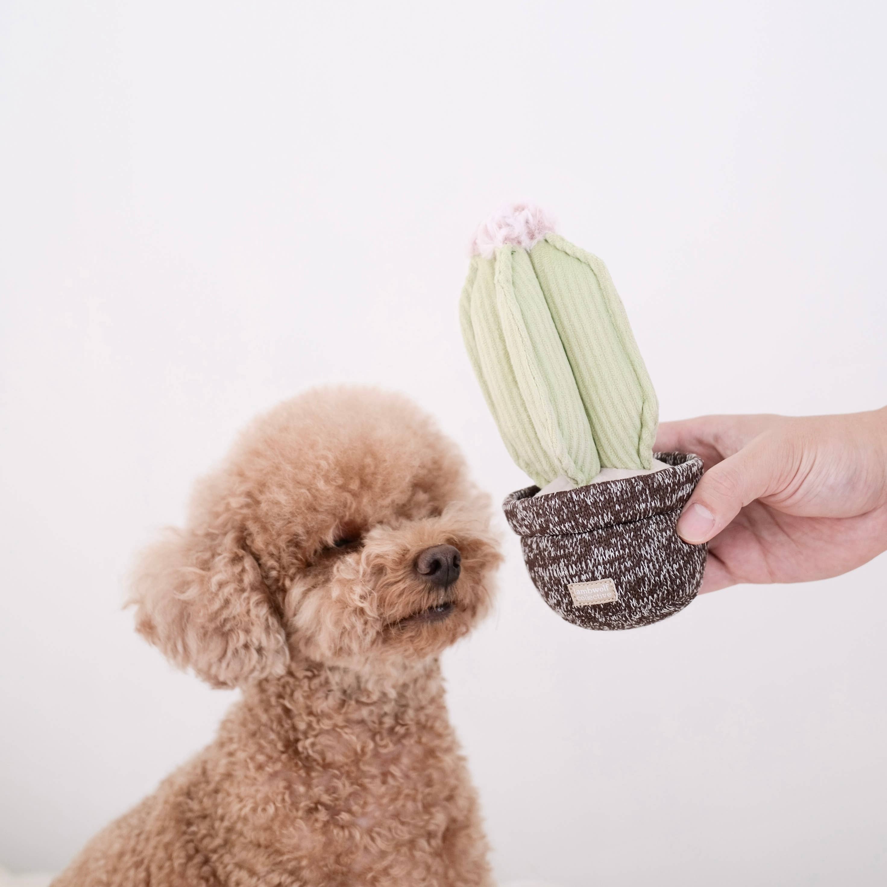 Lambwolf Collective - CACTUS // Enrichment Dog Toy