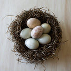Venture Imports LLC - Natural Eggs