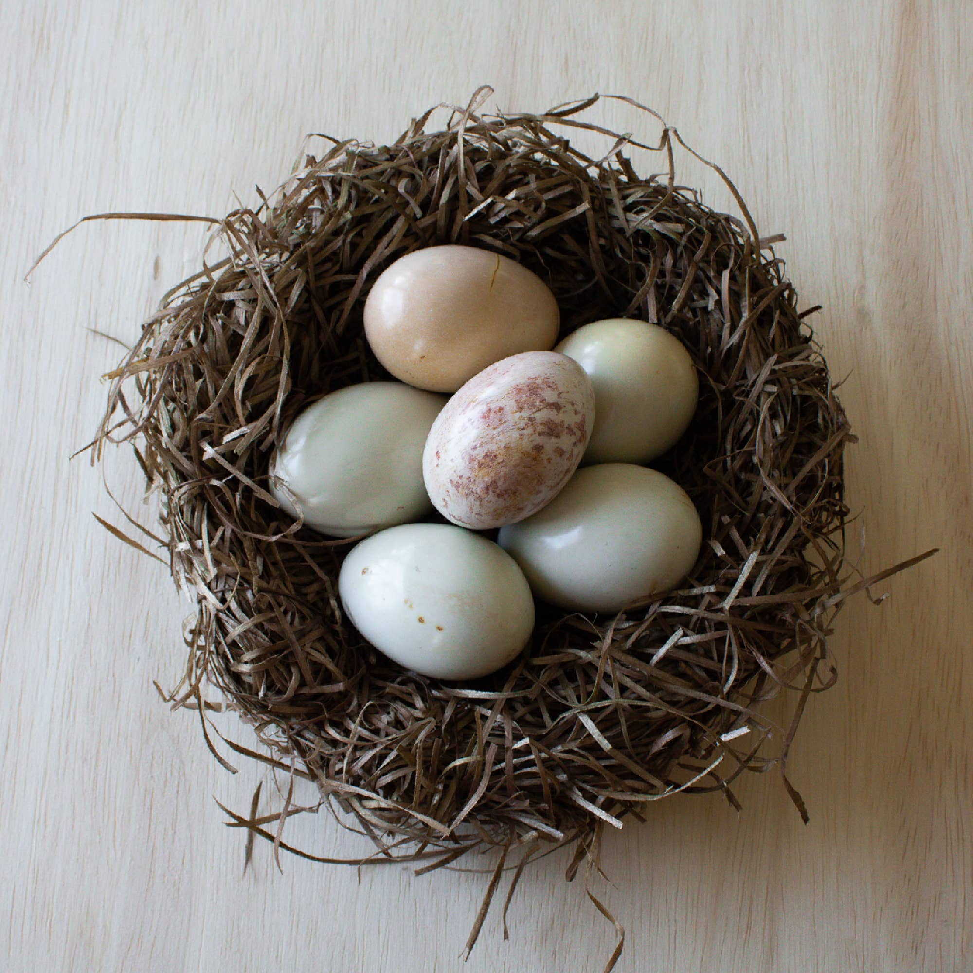 Venture Imports LLC - Natural Eggs