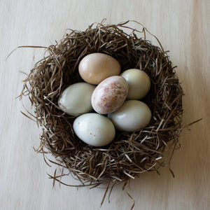 Venture Imports LLC - Natural Eggs