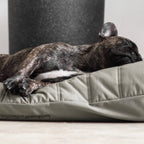 Lambwolf Collective - MAATIN // Dog Bed - Small | Fern