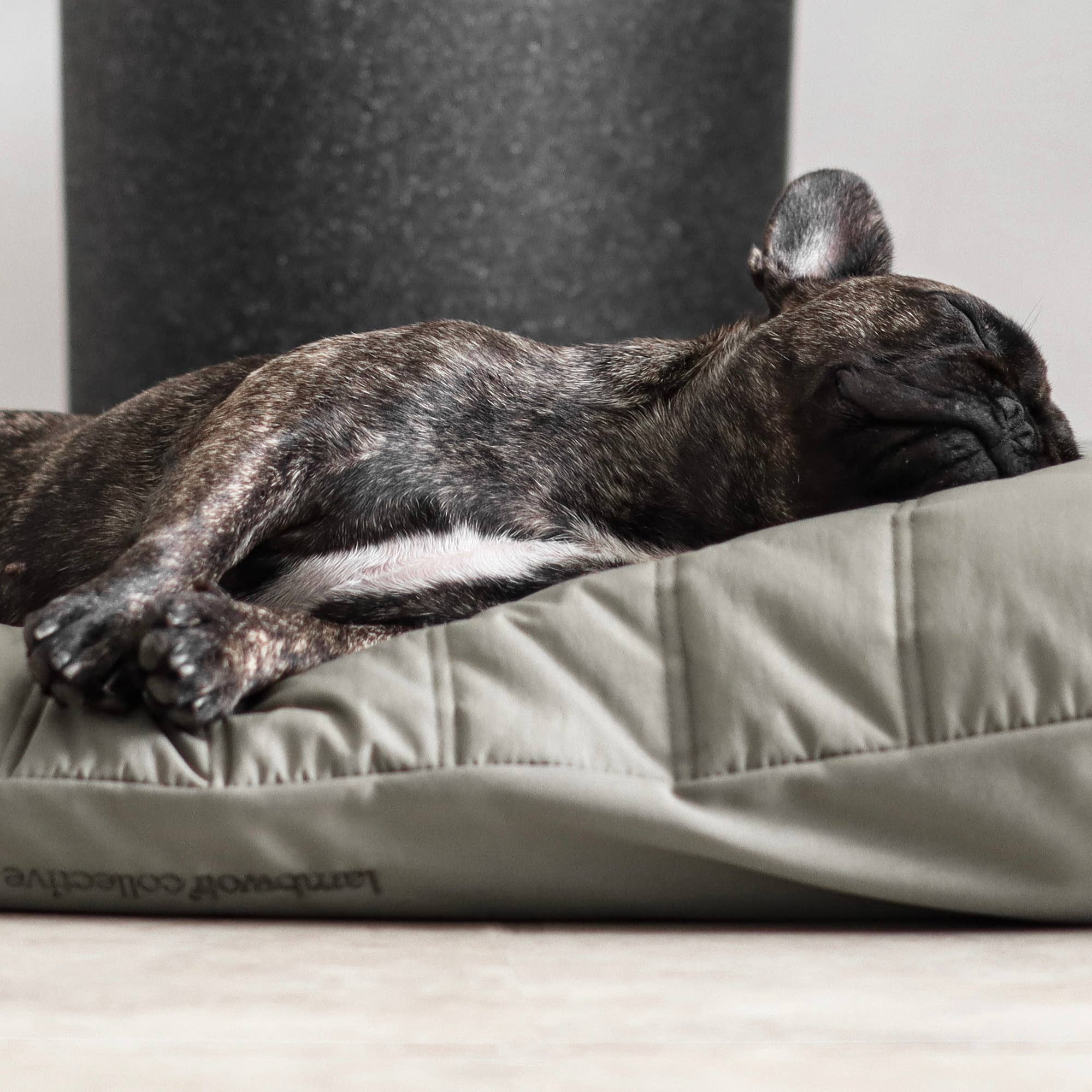Lambwolf Collective - MAATIN // Dog Bed - Small | Fern