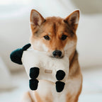 Lambwolf Collective - DOLLY // Squeaker Enrichment Dog Toy - Black Oat